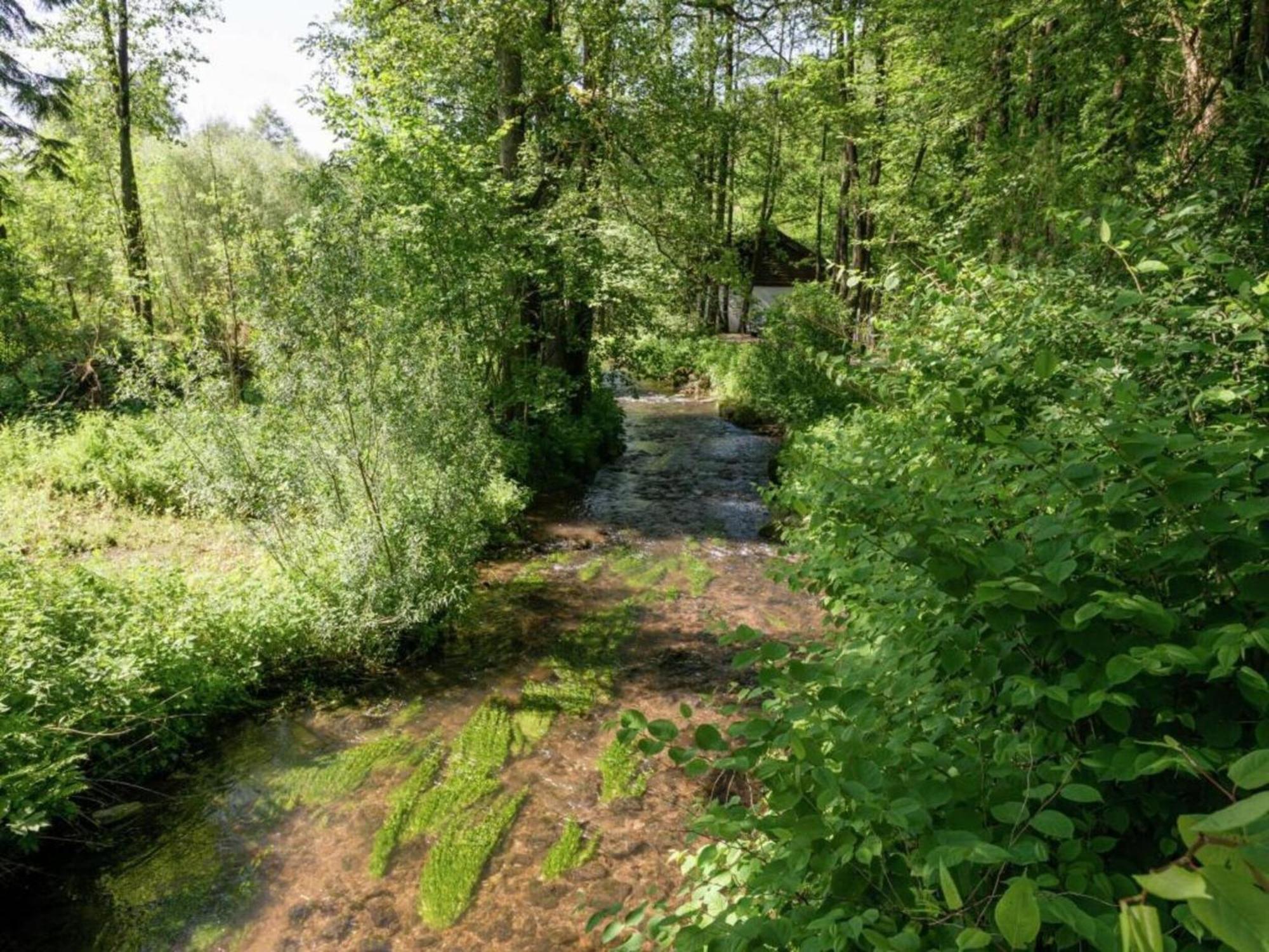 Cozy Cottage In Malmedy With Large Garden Luaran gambar